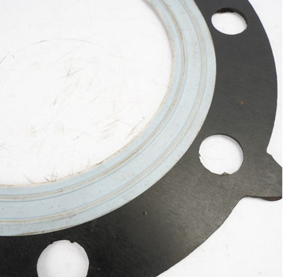 PTFE لاستیک فلنج واشر دارویی مواد غذایی شیمیایی روکش تفلون