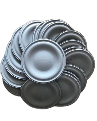 20 بار PTFE EPDM اندازه گیری پمپ دیافراگم برای کاربردهای صنعتی